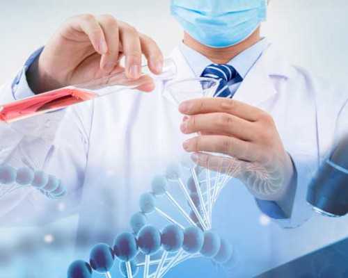 潘家园古玩网手机版_柚子皮烧肉可以降低脂肪