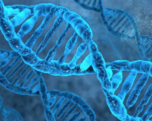 香港验血 北京论坛网_验血dna测性别精确吗？最全攻略全在这!