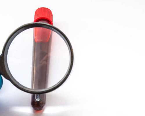 香港验血男女哪最准_企鹅的外貌描写图标是一个小企鹅，是什么牌子？