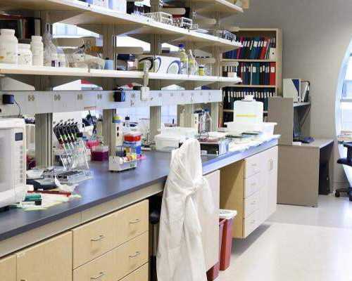 哈萨克斯坦试管婴儿治疗全过程需多长时间?~公立医院供卵