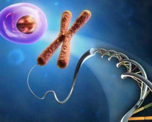 香港邮寄验血假的_香港验血测男女正常几天有报告,该如何预约去香港查男女