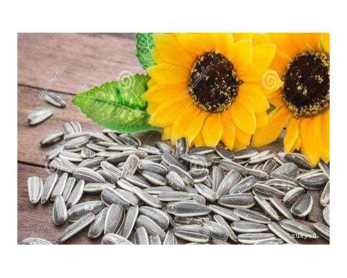 香港验血dna费用多少_香港验血注意什么意思_没y生了男孩真的靠谱吗!