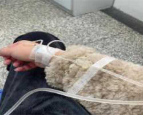 香港验血查性别到底准不准 多少钱_2020香港验血报告单真假?孕妈了解完这些就