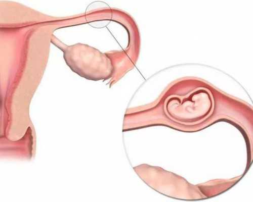 香港验血鉴定官网_过香港抽血验胎儿性别是真的吗?要超过几个月?