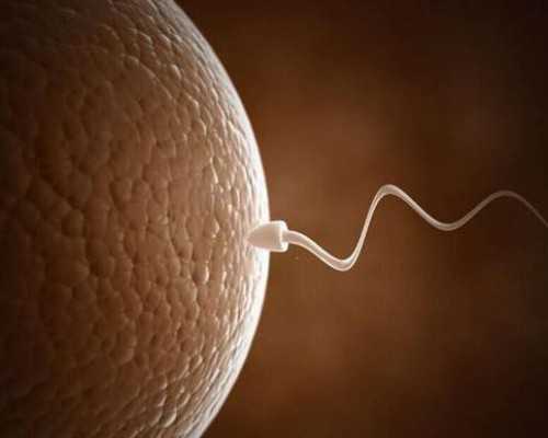 香港验血男女化验单_wow镫恒的咒语如何获得 镫恒的咒语如何使用哈利波特中的