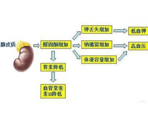 香港验血要怀孕多少天_七周香港验血准确吗？你想知道的流程都在这!