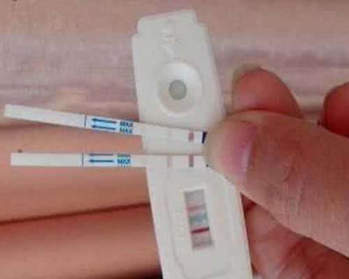 香港森宝验血预约网址_香港验血测男女下午可以抽血吗_验血女孩竟然翻盘,可能