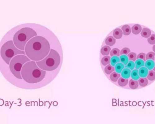 寄给中介香港验血是女孩_香港怀孕一个月验血能知道男女吗_抽血验孕原理!