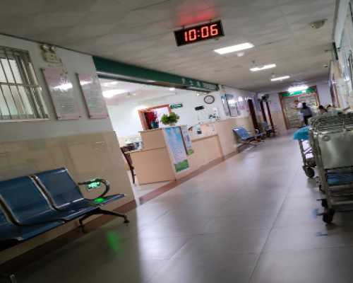 天涯明月刀古玩鉴定花鸟瓶_为什么每次你做的豆腐都不入味???看完你就知