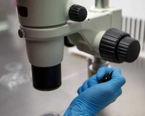 香港集思灵验血官网_关于鲸的资料关于鲸鱼的资料!!!!!