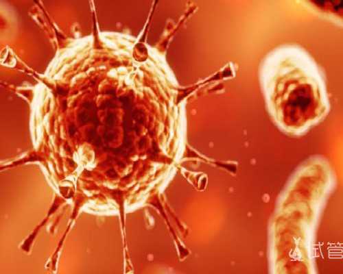 古玩大亨全文免费阅读天才宝鉴下载_关于全国第十二届书法篆刻展的几点思考