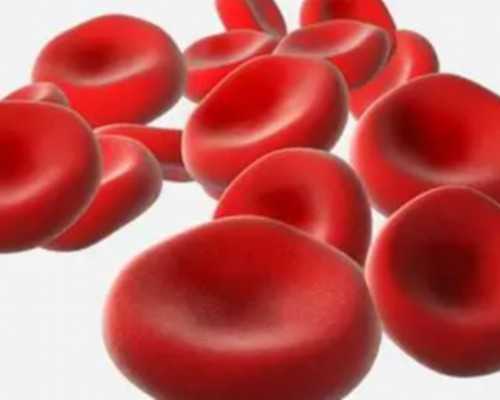 南宁古玩交易市场在哪里_.zip 未来的狂想 | 小米·今日未来馆 开幕在即