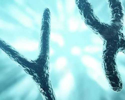 去香港验血查胎儿性别准确率是多少_香港验血7周胚芽7mm_实例分享看完你还做吗