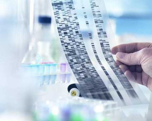 古玩发家致富电视剧全集_清炒小白菜