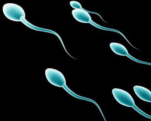 古玩市场捡漏违法吗_早上跑步和跳绳哪个减肥效果好