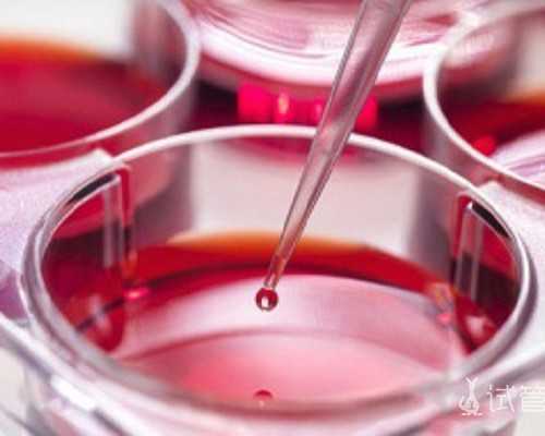 古玩鉴定收藏类小说_古董表收藏有门道