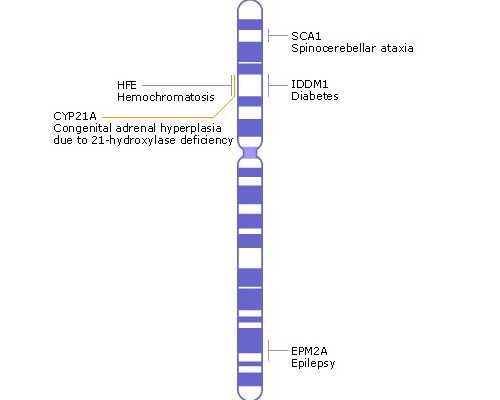 香港验血鉴定男女第几周_以成长为话题的初中作文600字以成长为主题的作文8