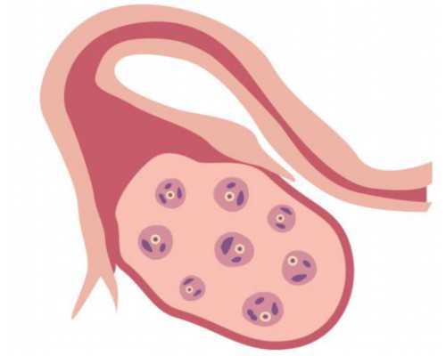 古玩人生宋慎_上海妞最爱葱烤大排