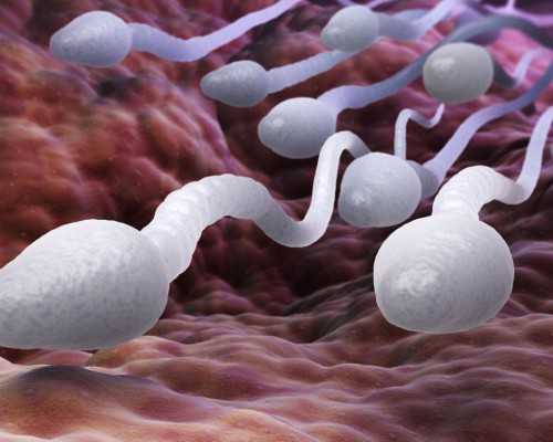 香港验血几个标记是男孩_香港验血榆林有中介_最全攻略全在这!