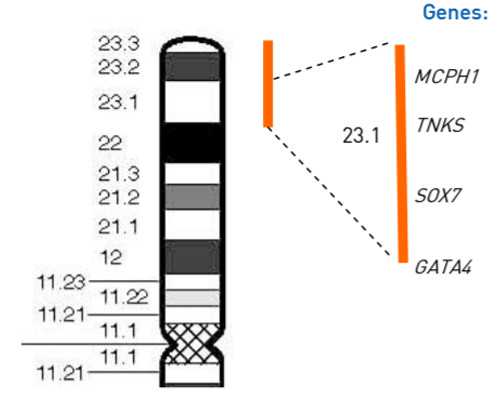 怎么邮寄香港验血_中学生日记300字初中生叙事日记300字