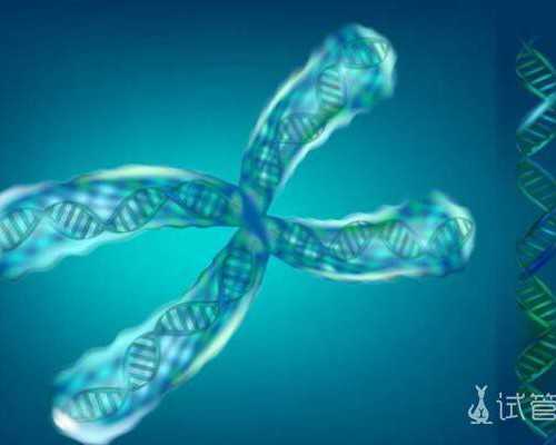 7788收藏古玩交易网收费_腹部脂肪堆积怎么减肚子脂肪太多怎么办