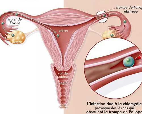 香港验血多少钱港币_自贡哪个医院可以胎儿DNA鉴定，邮寄香港验血查男女准吗