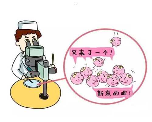 香港acgt 验血性别准确吗_香港性别判定价格?香港DNA检测科普