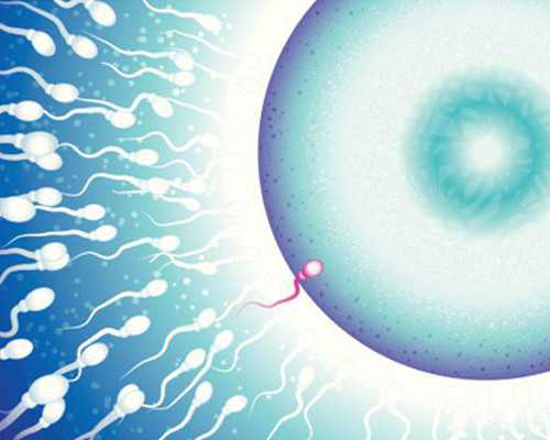 中华古玩网官网 战国古币拍卖_老干妈炒鸡腿·小美的美食