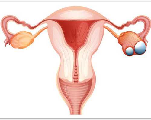 怀孕几周香港验血_怀孕几周可以到香港查男女,鉴定性别是骗局吗