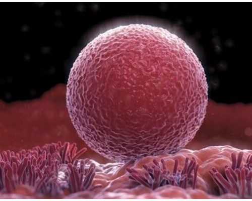 2017香港验血多钱_香港验血迪雅高报告准不准,亲身经历告诉你最全流程