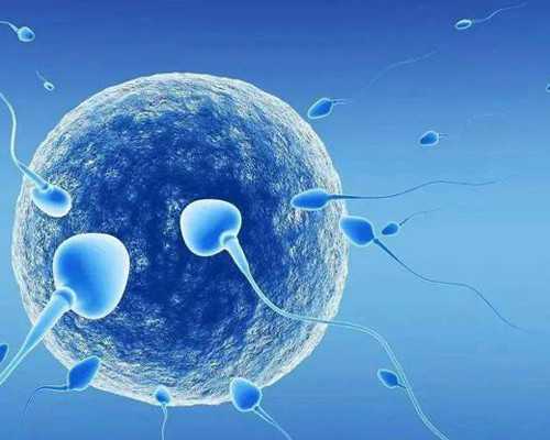 我的怀孕经历和香港验血报告_香港美亚预约验血靠谱_性别鉴定费用是多少!