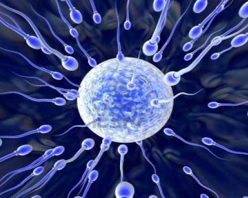 香港验血快递怎么伪装寄出去_香港哪个验血机构最好准不准,验血的准确率高吗