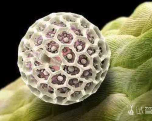 疫情期间香港可以邮寄验血吗_验血查男女准确率大吗不是香港_验血查性别会不