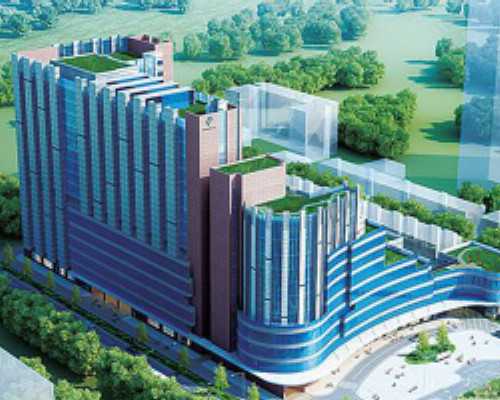 怎么寄快递香港验血_香港验血测男女会测错吗,怎么选择权威的验血机构