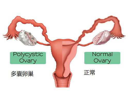 怀孕10周还可以香港验血看男女吗_香港验血多久出报告单_验血查男女需要多少