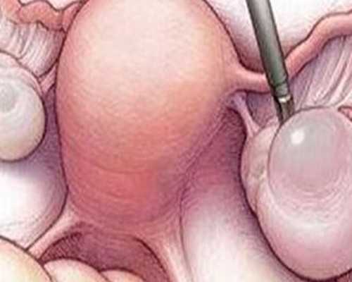 到香港验血测性别多少钱_有宝宝了,想去香港胎儿性别鉴定违法吗