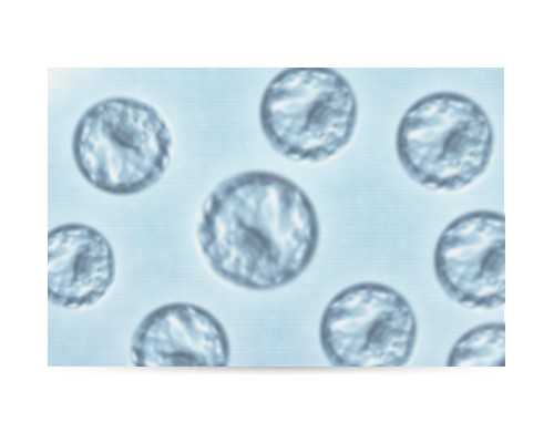 中华古玩网官网2021年上半年拍卖大清铜币价位_油敏肌还伴随着痘痘，根本原因