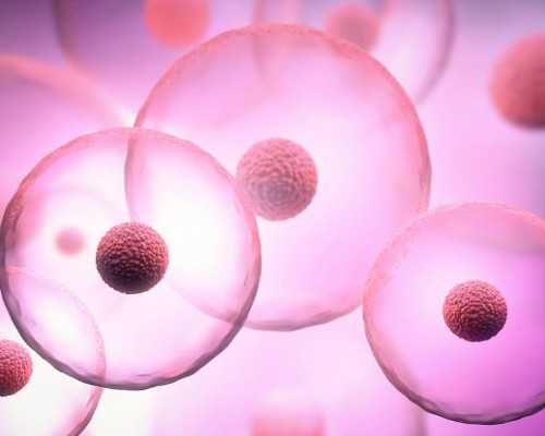 6周香港验血男孩却生了女孩_香港验血是男的有不准的吗_最全攻略全在这