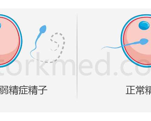 验血查男女香港那家医院做_香港抽血检男孩女孩多少钱?宝妈用亲身经历告诉大