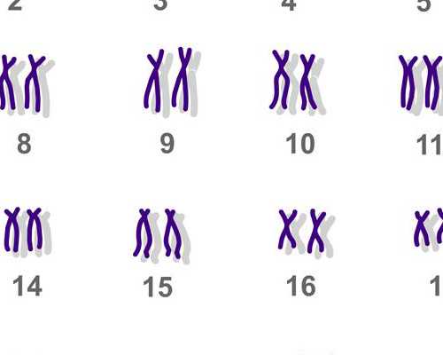 香港伟康国际验血官网_作文我发现了……我发现___作文600字以上