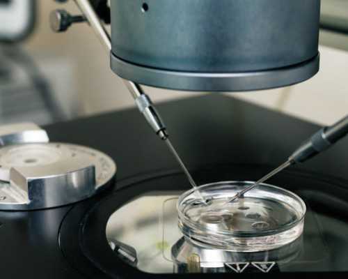 香港最大验血检测机构_作文搜索。搜索作文