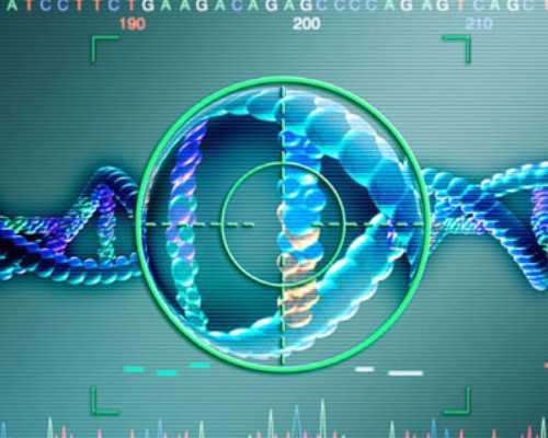 生男生女检测方法 香港验血_香港鉴定性别医院,dna胎儿详细流程是什么