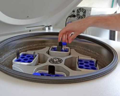 家人送样本去香港验血准吗_香港验血康南预约_测胎儿到底准不准别不信!