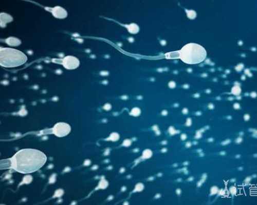 老古玩店电视剧百度网盘_艺术电商网购书画是大势所趋