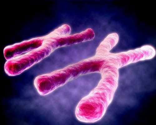 重庆有哪些古玩拍卖公司_大兴安岭现罕见古人类文化遗址