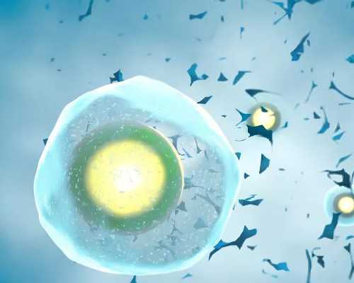 香港验血怀孕要多久_到香港验血男女_哪里可以验血查性别!