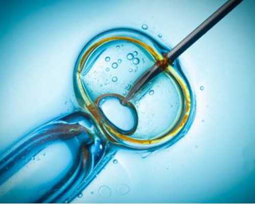 香港验血化验男女有什么要求_5篇关于母亲的作文写母亲的作文(开头和结尾)