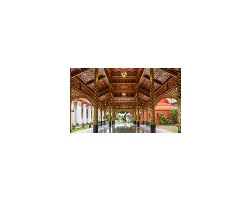 打胎4个月又怀孕去香港验血准吗_关于花的作文描写花的作文？