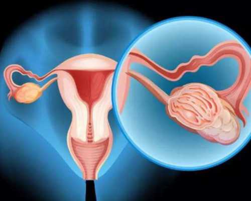 古玩必看的15个电视剧_Red on Maroon