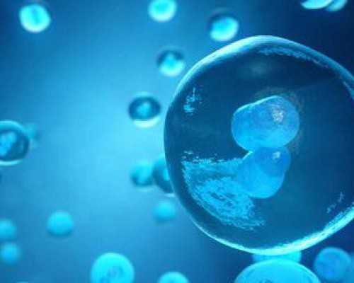 怀孕4个月可以香港验血测胎儿性_香港验血报告有d_怎么个流程费用多少!